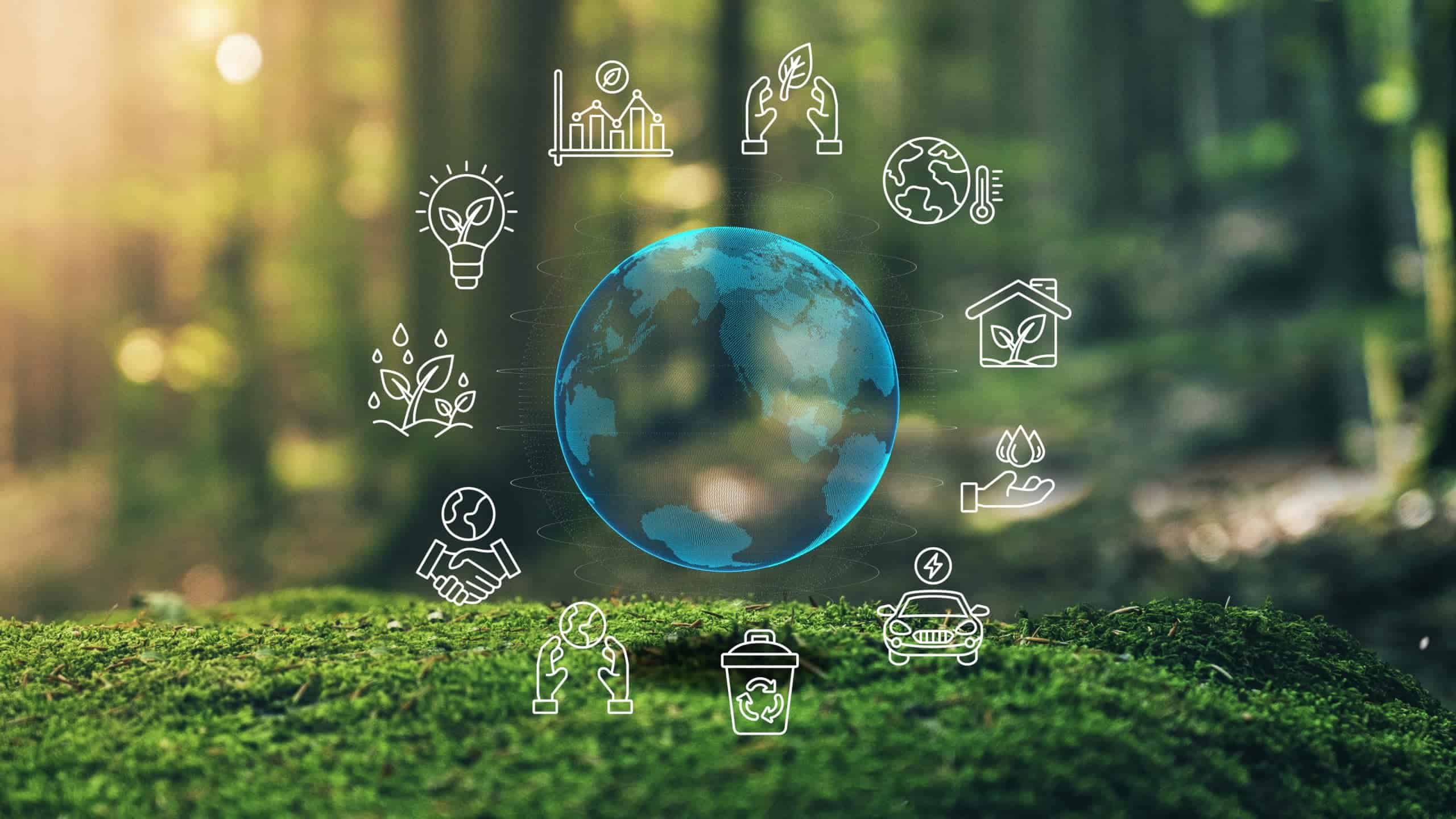 Article - Sustainability, Reliability or Both?